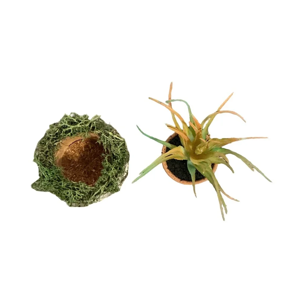 Handmade Artificial Succulent in Birch Log‎ with Moss Rustic Woodland Home Decor